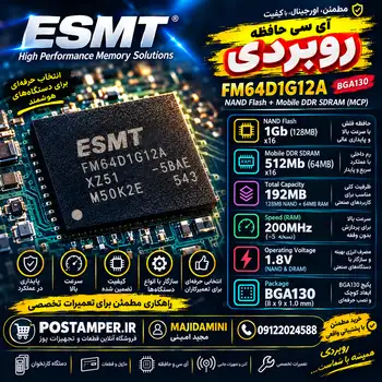 رام ESMT “رو بردی” 
